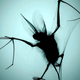 Illustration for article titled The Strange Stories Behind the Years Best Scientific Images